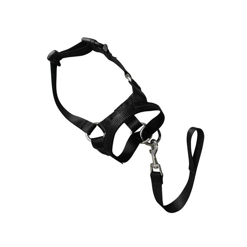 Black Dog Training Head Collar Halter Stop Pulling Training Tool Harness Strap Leader - S