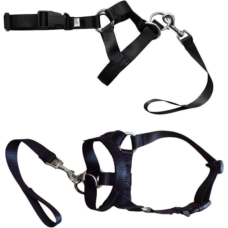 Black Dog Training Head Collar Halter Stop Pulling Training Tool Harness Strap Leader - M