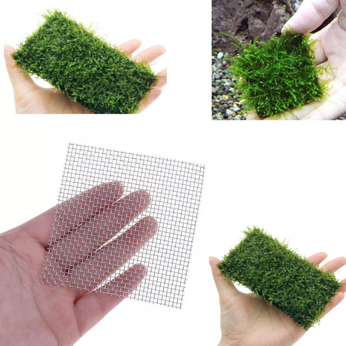 10pcs Stainless Steel Wire Mesh for Water Plants Fish Tank Aquarium Decoration - 8x8cm