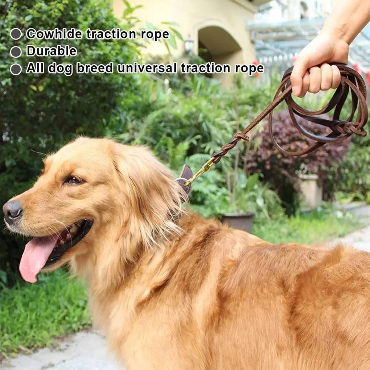 Dog Leash Cowhide Lead Heavy Duty Leather M Size Brown For Walking Training - Black