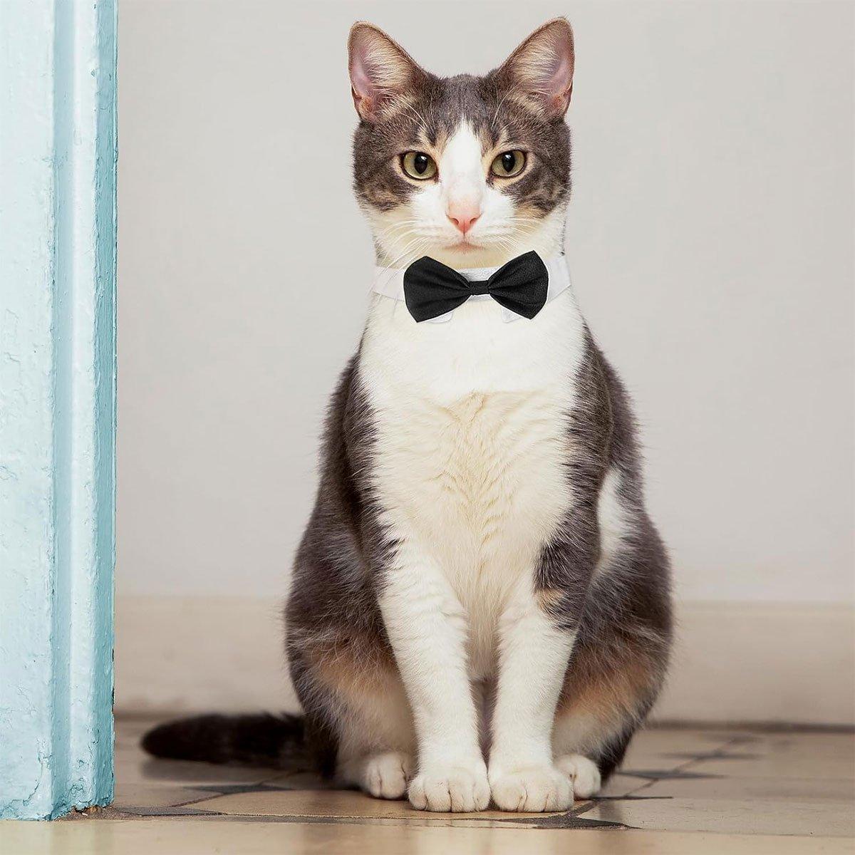 2pcs Pet Bow Tie Collar Dog Cat Suit Dress Accessories Adjustable Neck Strap - S