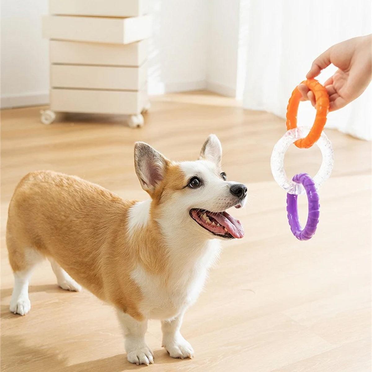 Interactive Dog Toys TRP Rubber Ring Teething Pet Rally Ring Chew Play Fetch - Green-Purple