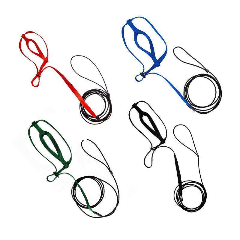 M Pet Parrot Bird Harness Lead Leash Flying Training Rope Cockatiel Outdoor - Blue