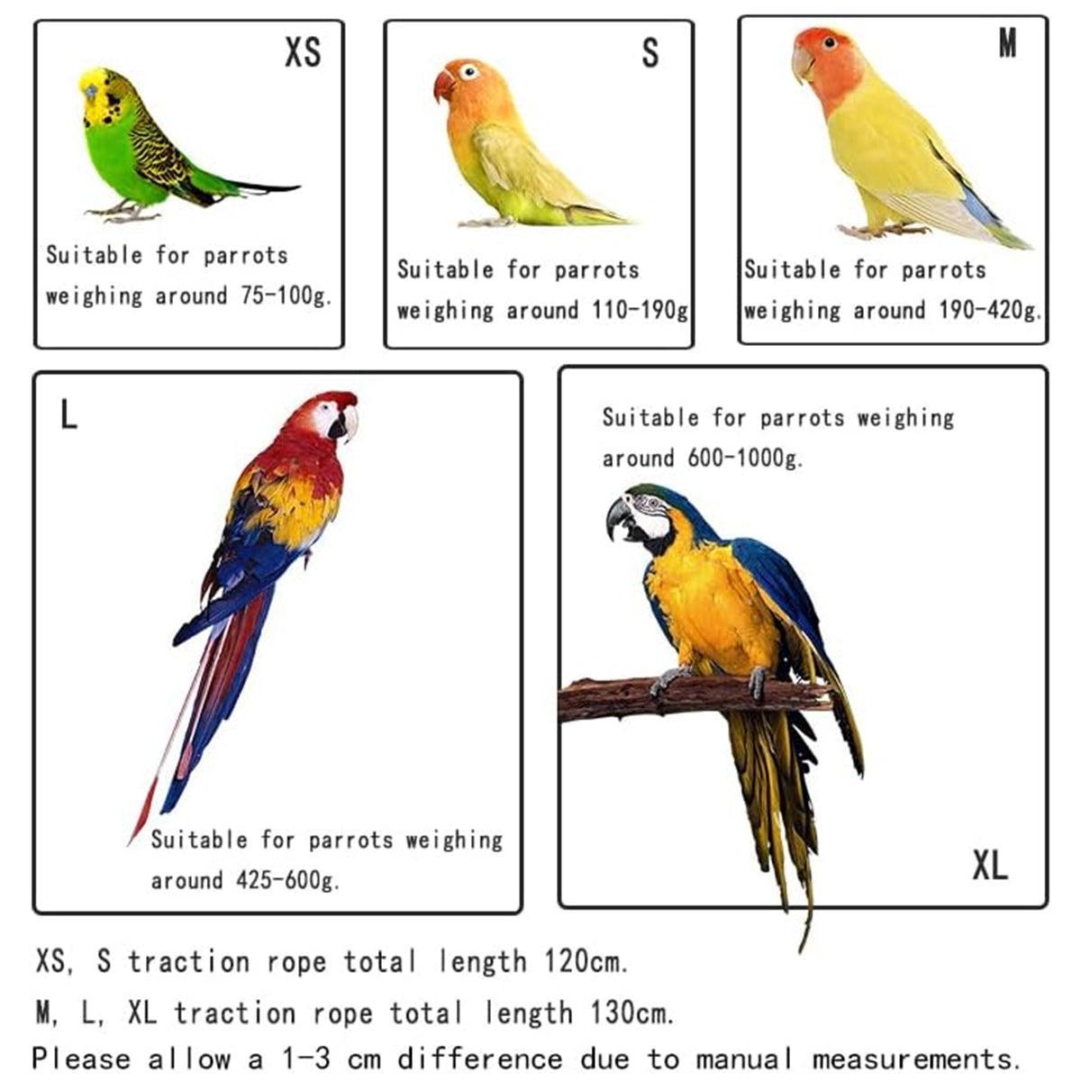 M Pet Parrot Bird Harness Lead Leash Flying Training Rope Cockatiel Outdoor - Blue