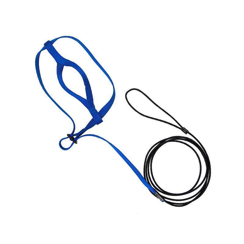 M Pet Parrot Bird Harness Lead Leash Flying Training Rope Cockatiel Outdoor - Blue