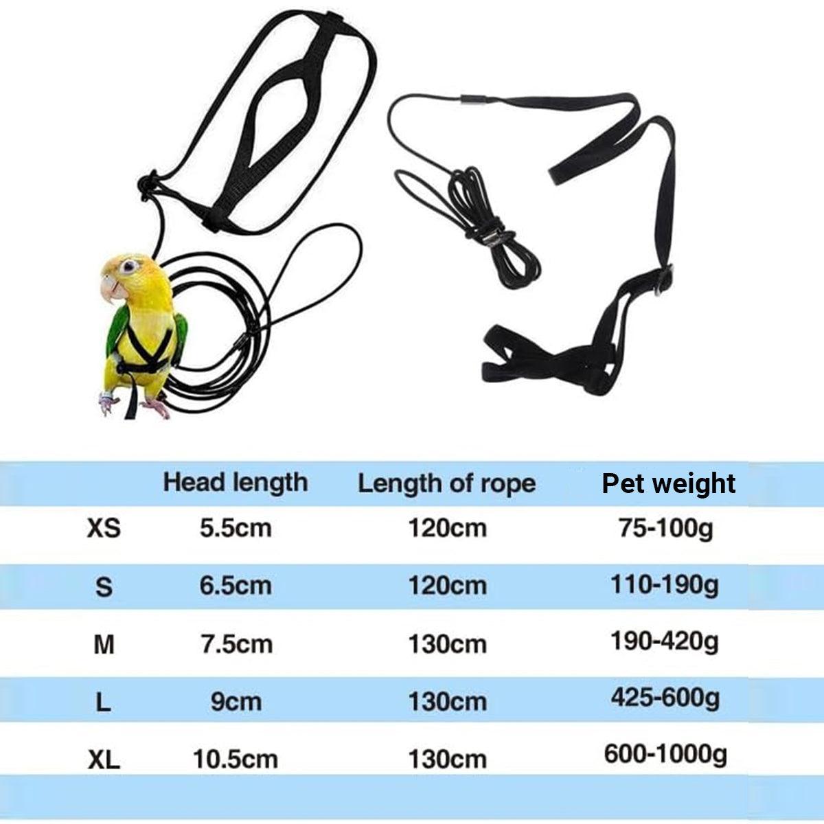 M Pet Parrot Bird Harness Lead Leash Flying Training Rope Cockatiel Outdoor - Green