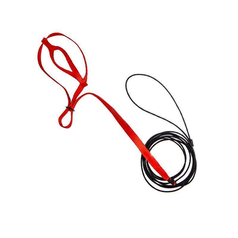 M Pet Parrot Bird Harness Lead Leash Flying Training Rope Cockatiel Outdoor - Green