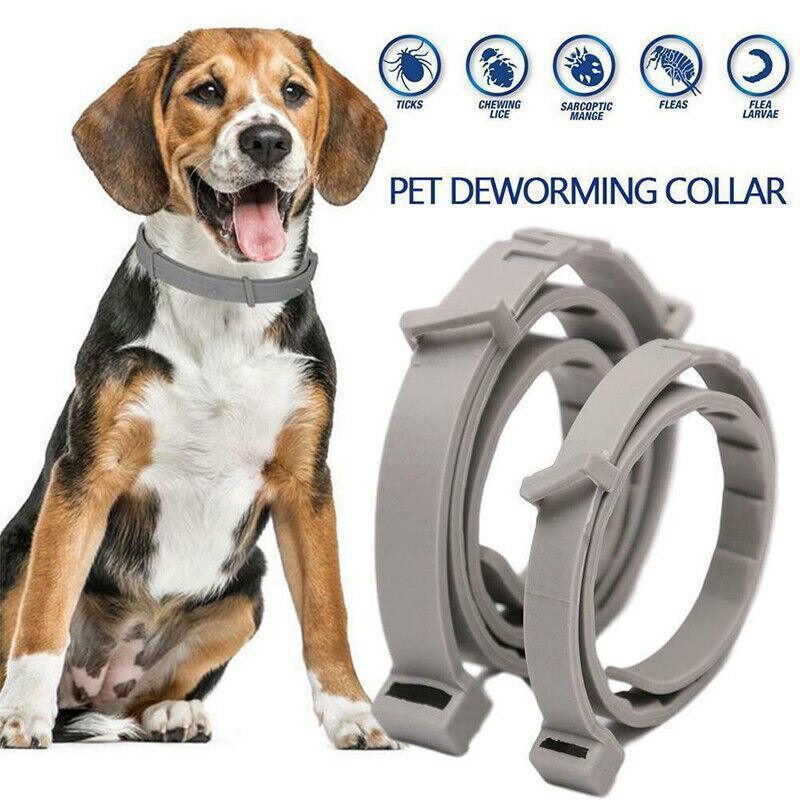 Short Adjustable Pet Anti Flea Tick Neck Collar For Dog Cat Kitten 8 Months Protect - Grey