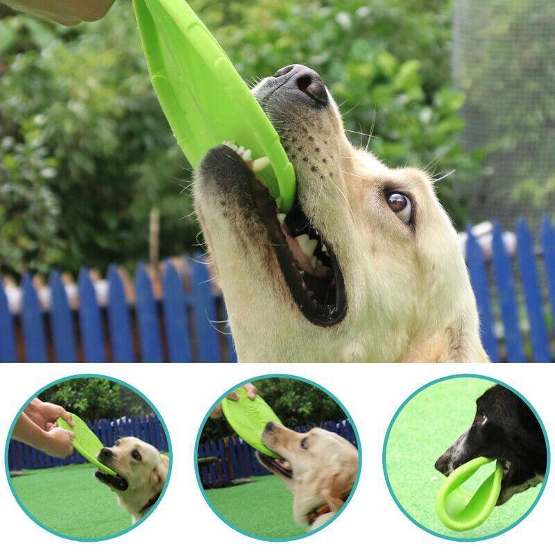 Frisbee Toy for Dogs Outdoor Fetch Training Soft Rubber Pet Flying Disc 18cm - Purple