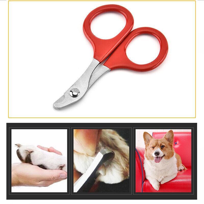 Pet Nail Claw Grooming Scissors Clippers For Dog Cat Bird Rabbit Ferret