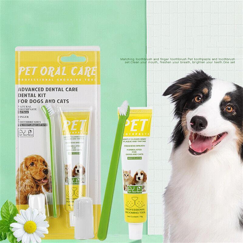 Pet Dog Cat Toothpaste and Toothbrush Set Beef Flavor