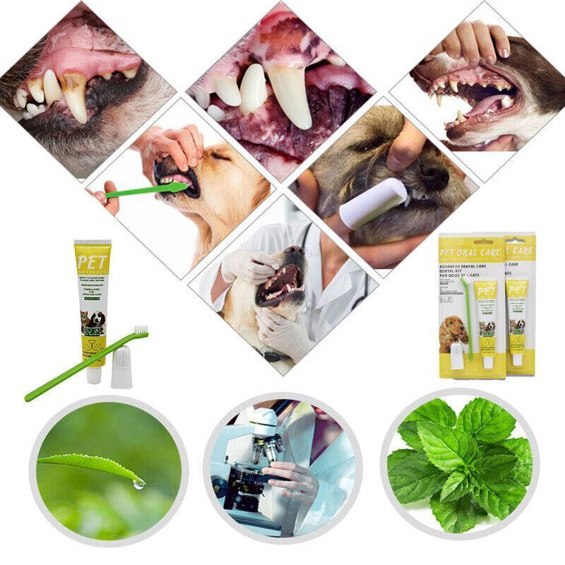 Pet Dog Cat Toothpaste and Toothbrush Set Beef Flavor