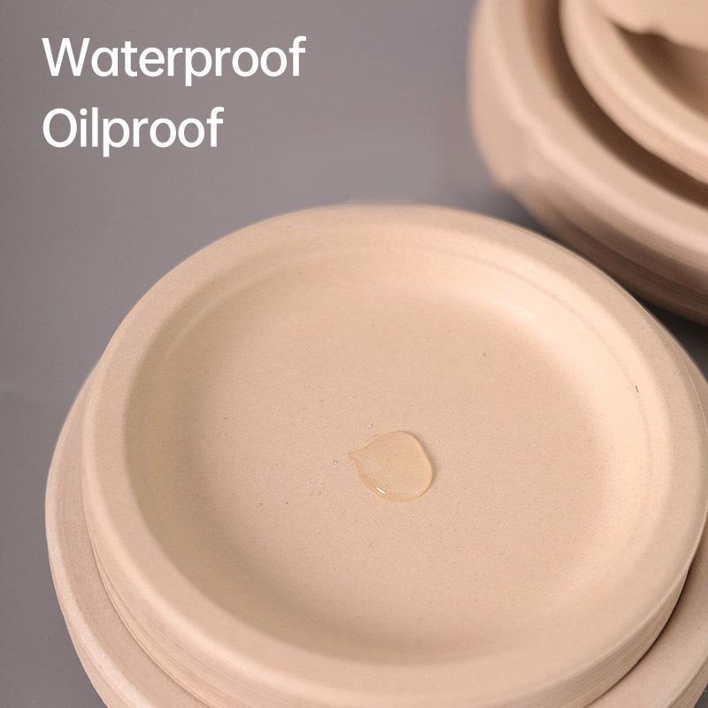 100x Biodegradable Sugarcane Paper Trays - Eco-Friendly & Durable for Food - 7inches-100pcs