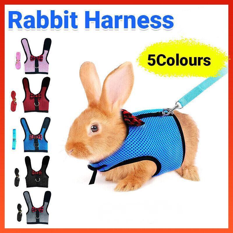 Rabbit Vest Harness Leash Lead Small Animal Pet Mesh Hamster Bunny Traction Rope L - Blue