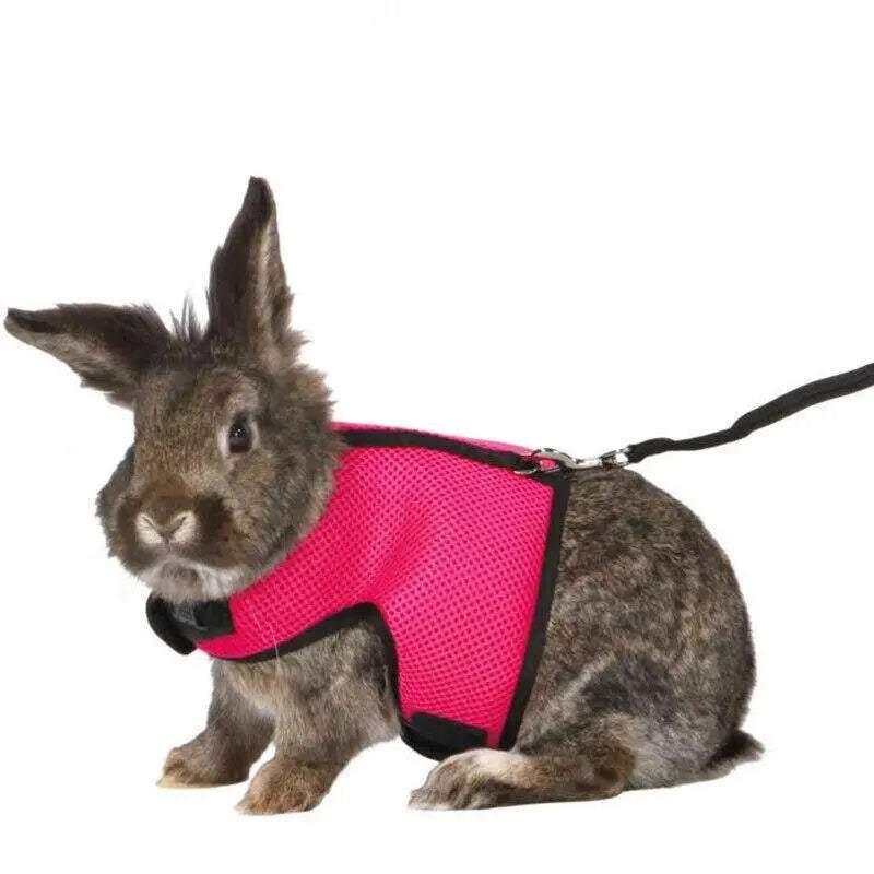 Small Animal Harness Guinea Pig Forret Hamster Rabbit Squirrel Vest Clothes Lead M Size - Rose Red