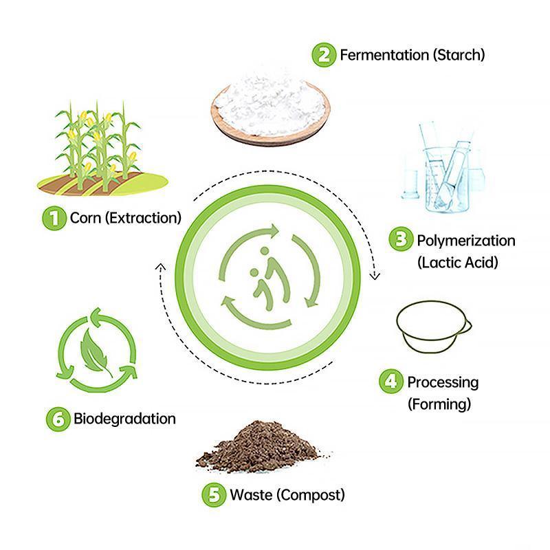 50PCS Biodegradable Corn Starch Lunch Box Round Takeout Containers Eco Friendly - 900ml