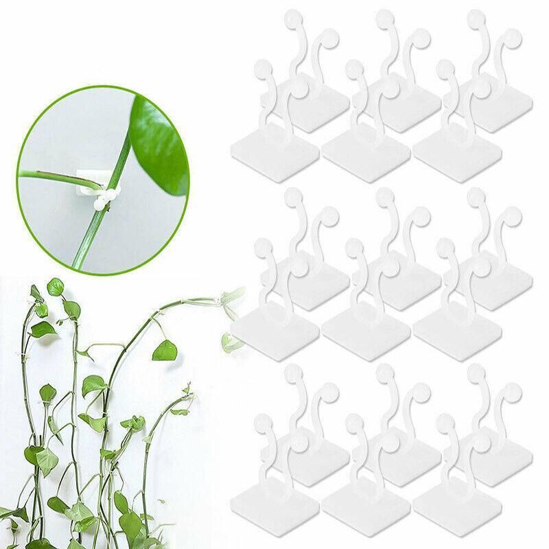100Pcs Invisible Wall Clips for Plant Climbing & Vine Support