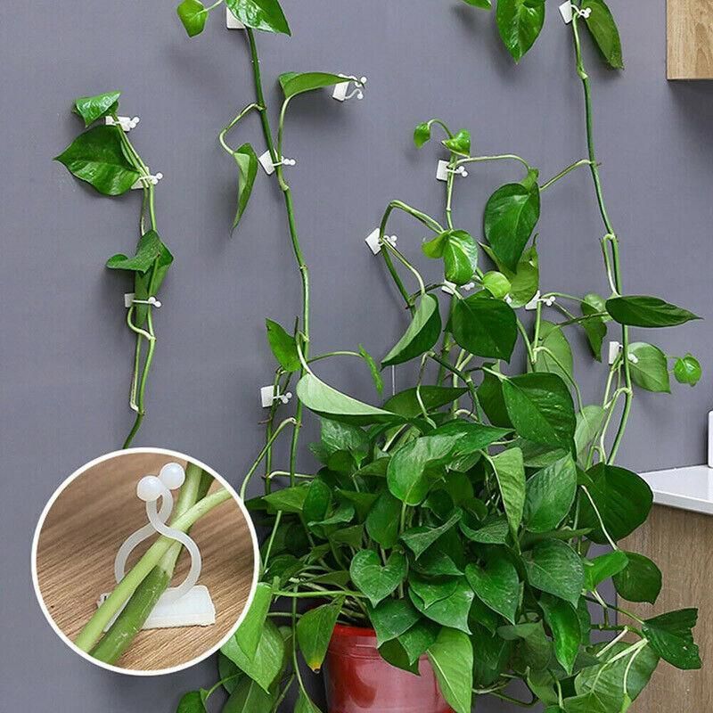 100Pcs Invisible Wall Clips for Plant Climbing & Vine Support