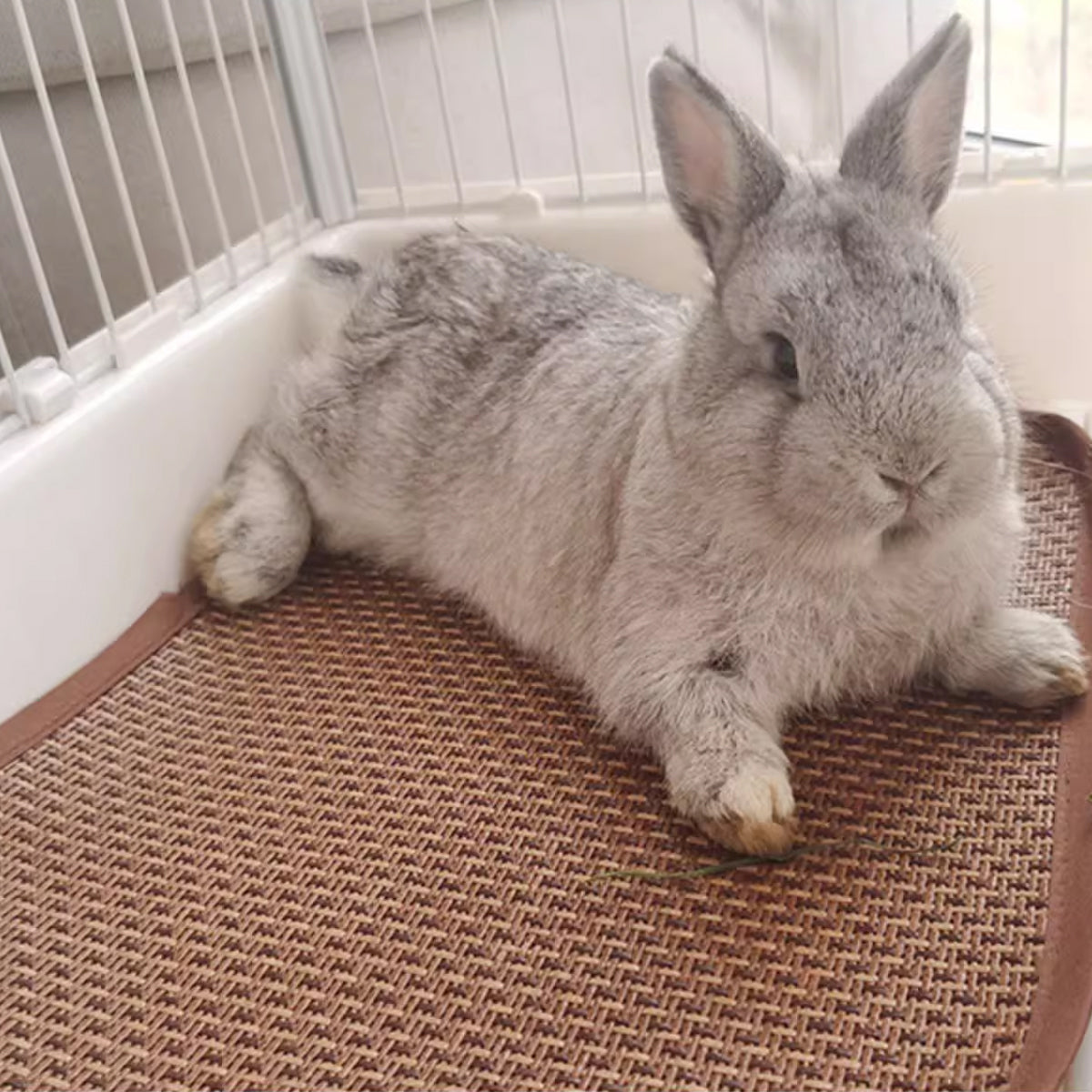 Pet Mat Kennel Cushion Dog Cat Bed Sleeping Pad Soft Washable for Crate Floor - 60x60cm