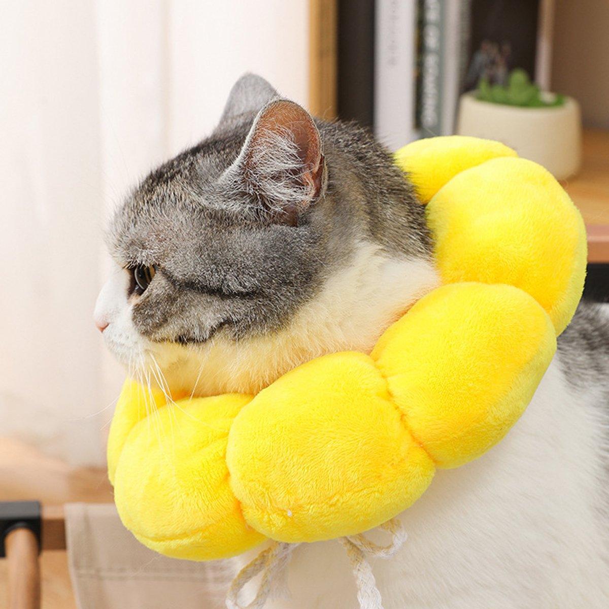 Sunflower Elizabeth Collar for Cats and Dogs Anti Licking Sterilization Headgear - L