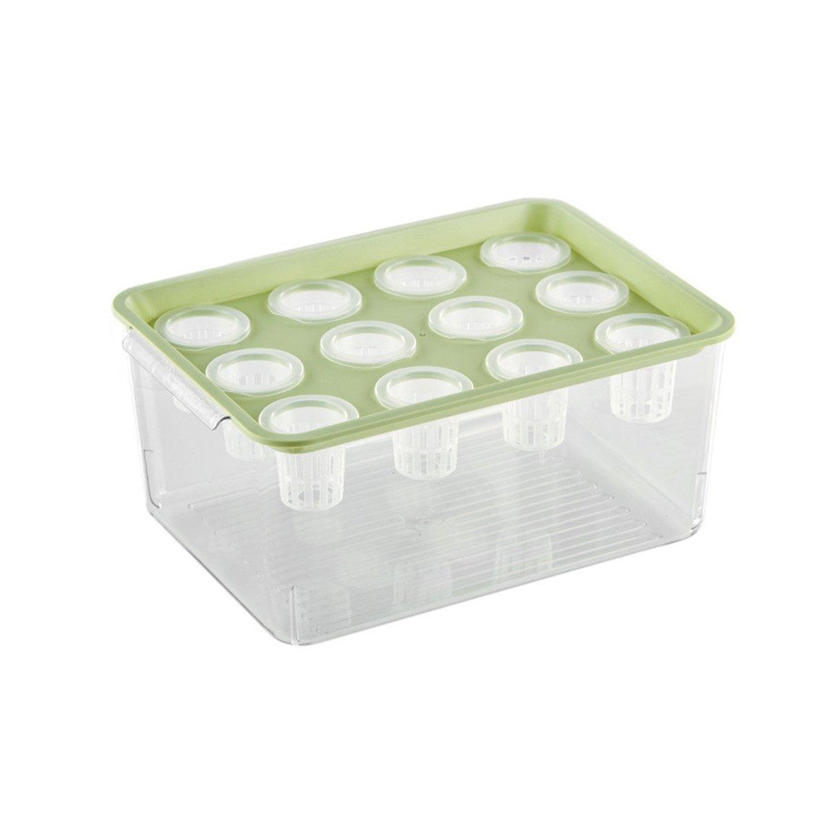 Transparent Rectangular Aquarium 12Hole Lid Portable Hydroponic Plant Fish Tank - Green