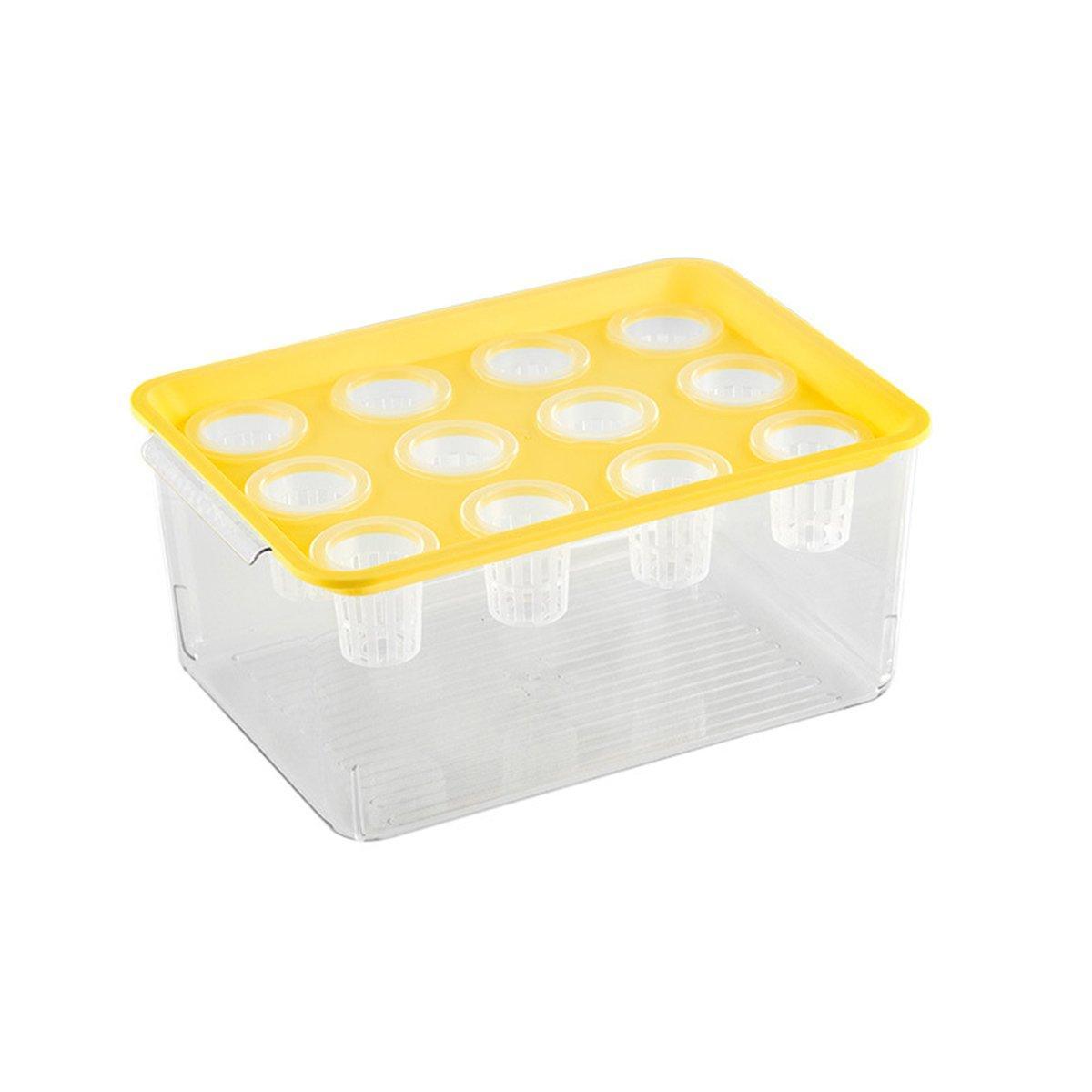 Transparent Rectangular Aquarium 12Hole Lid Portable Hydroponic Plant Fish Tank - Green