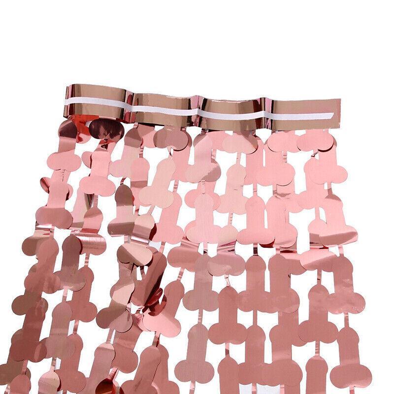 Metallic Tinsel Curtain 2m x 1m Hens Party Backdrop Foil Fringe Hanging Decor - Silver