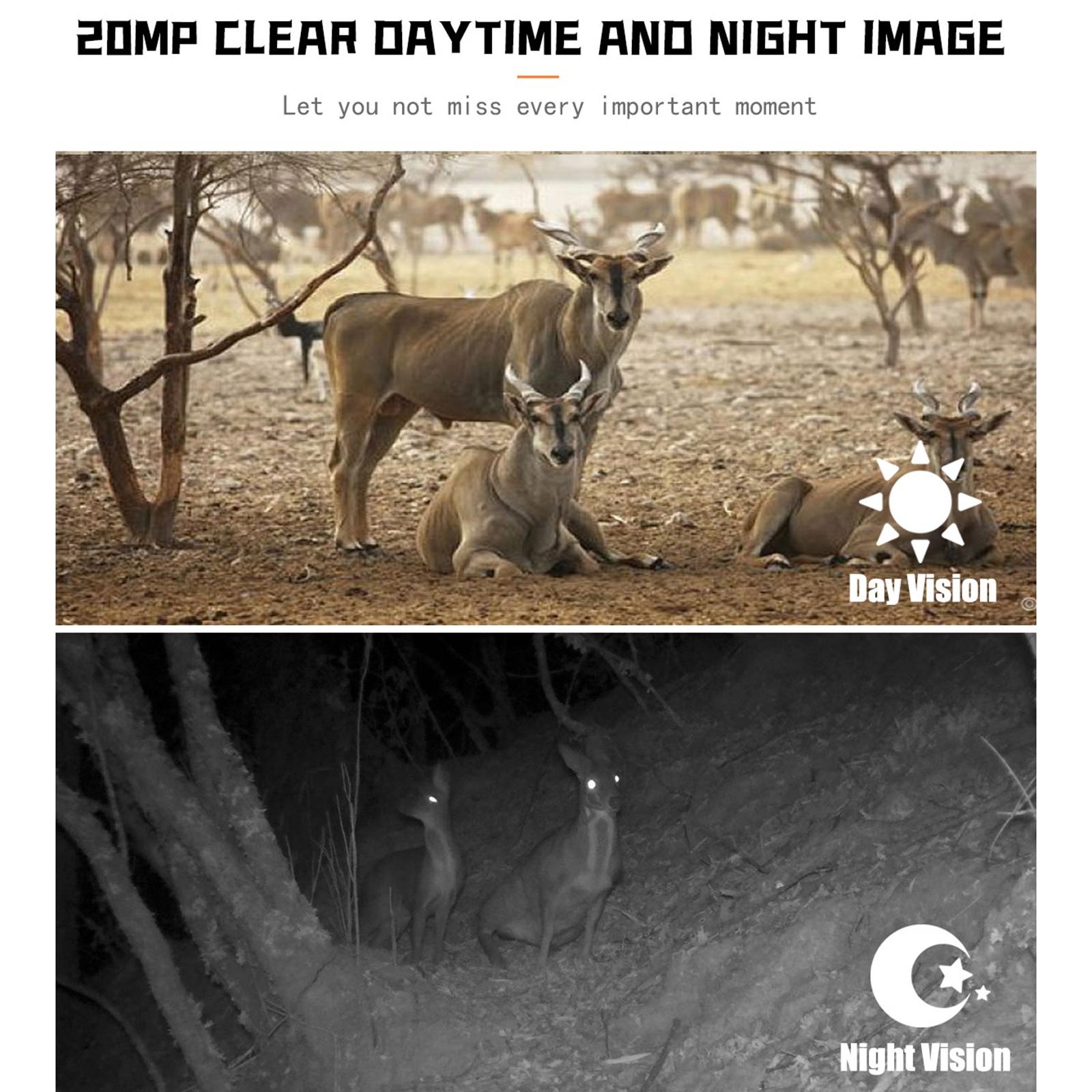 1080p Wildlife Hunting Camera with Night Vision for Outdoor Tracking