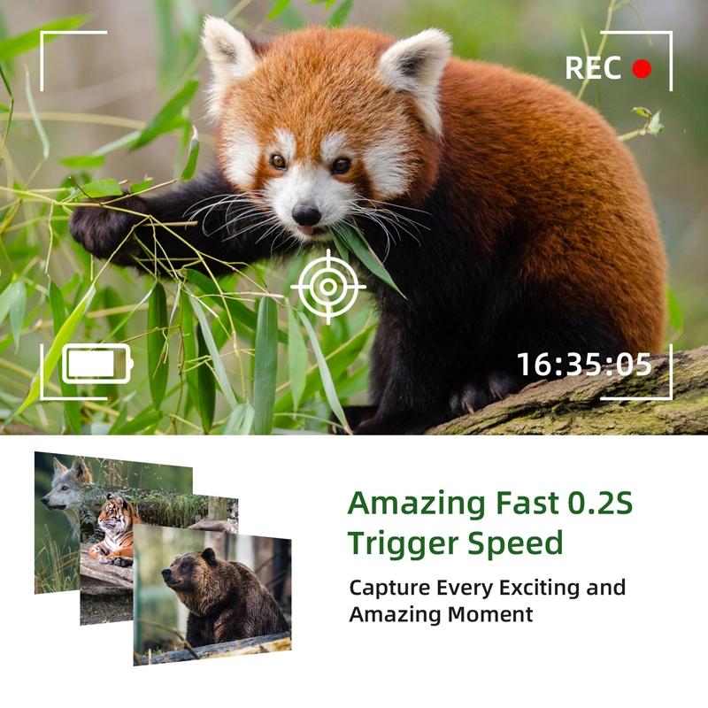 Outdoor Hunting Camera with Wifi & Remote Control - View Photos / Video Anytime