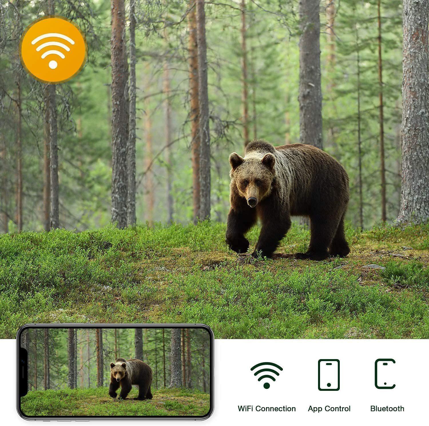 Outdoor Hunting Camera with Wifi900pro for Remote Viewing of Photos / Videos
