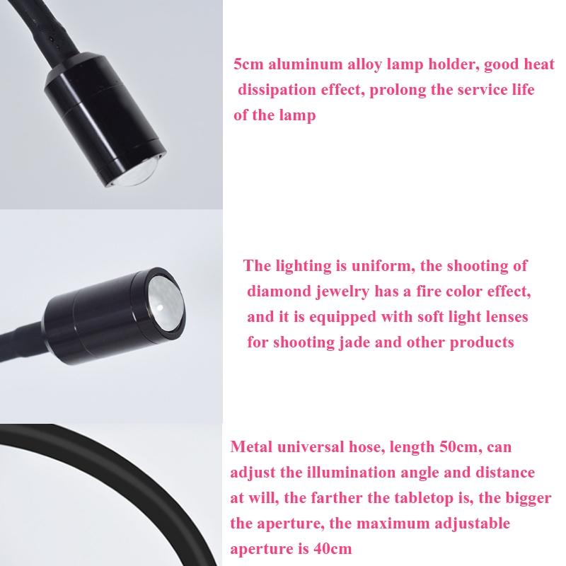 Adjustable Led Jewelry Table Lamp for Family Portraits