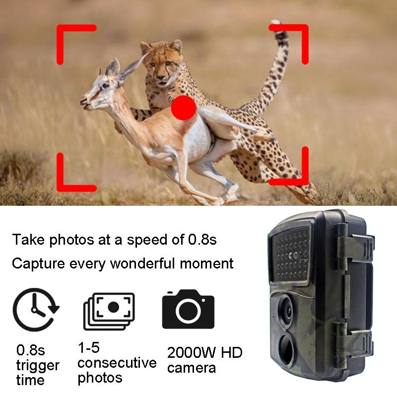 20mp 1080p Infrared Cameras with 38 Ir Lamps for Hd Monitoring