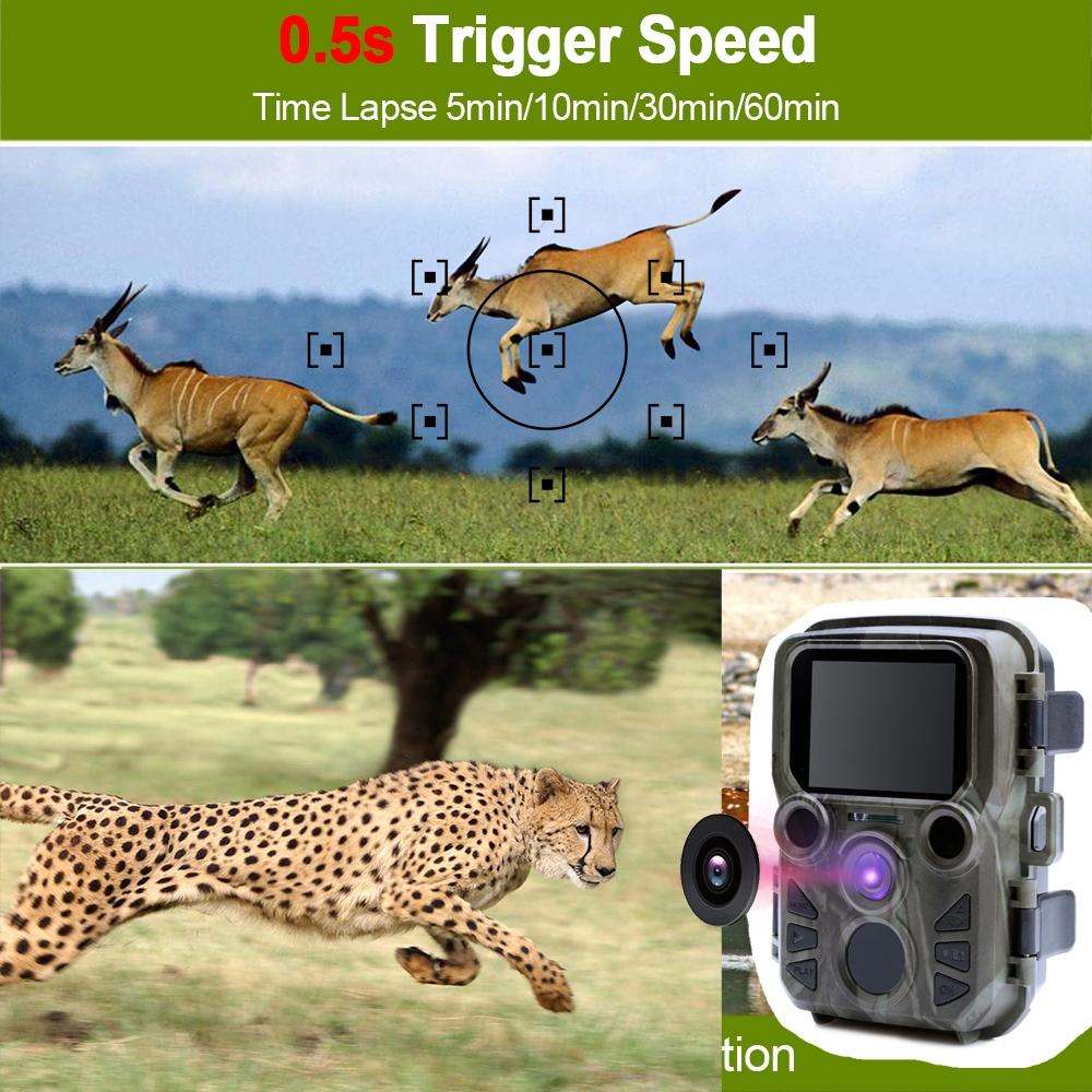 12mp Hd 1080p Mini Hunting Camera for Tracking