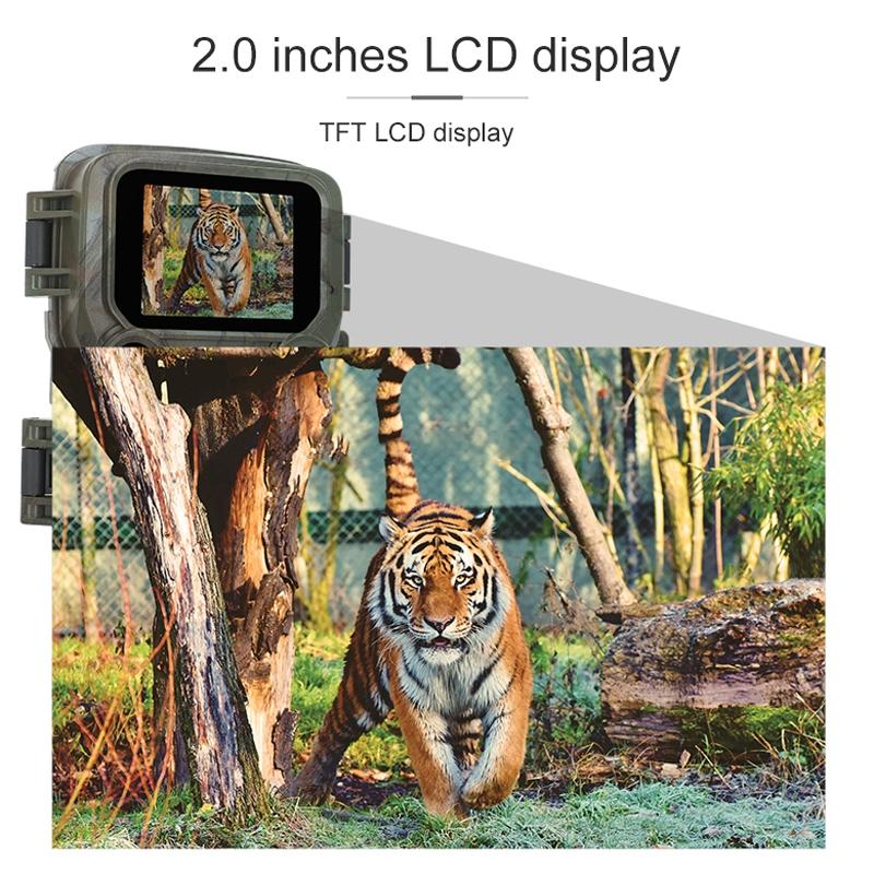Outdoor Hunting Camera with Night Vision and Infrared Sensing