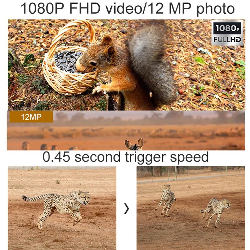 Outdoor Hunting Camera with Night Vision and Infrared Sensing