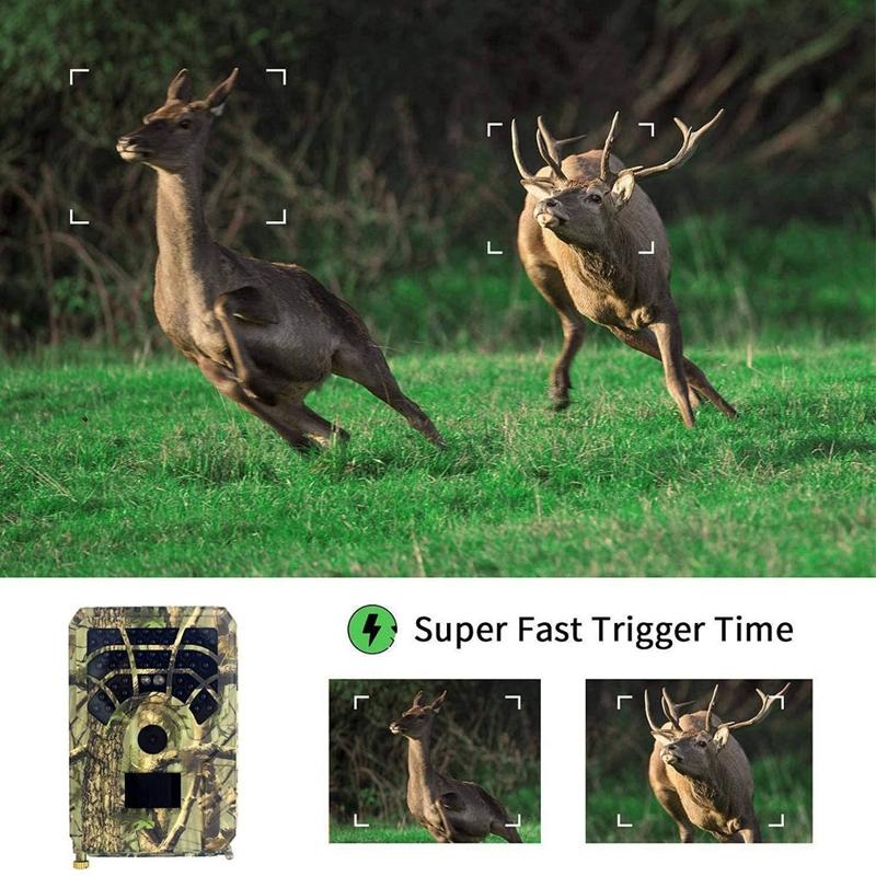 720P Infrared Night Vision Wildlife Camera - 120 Degree Wide Angle