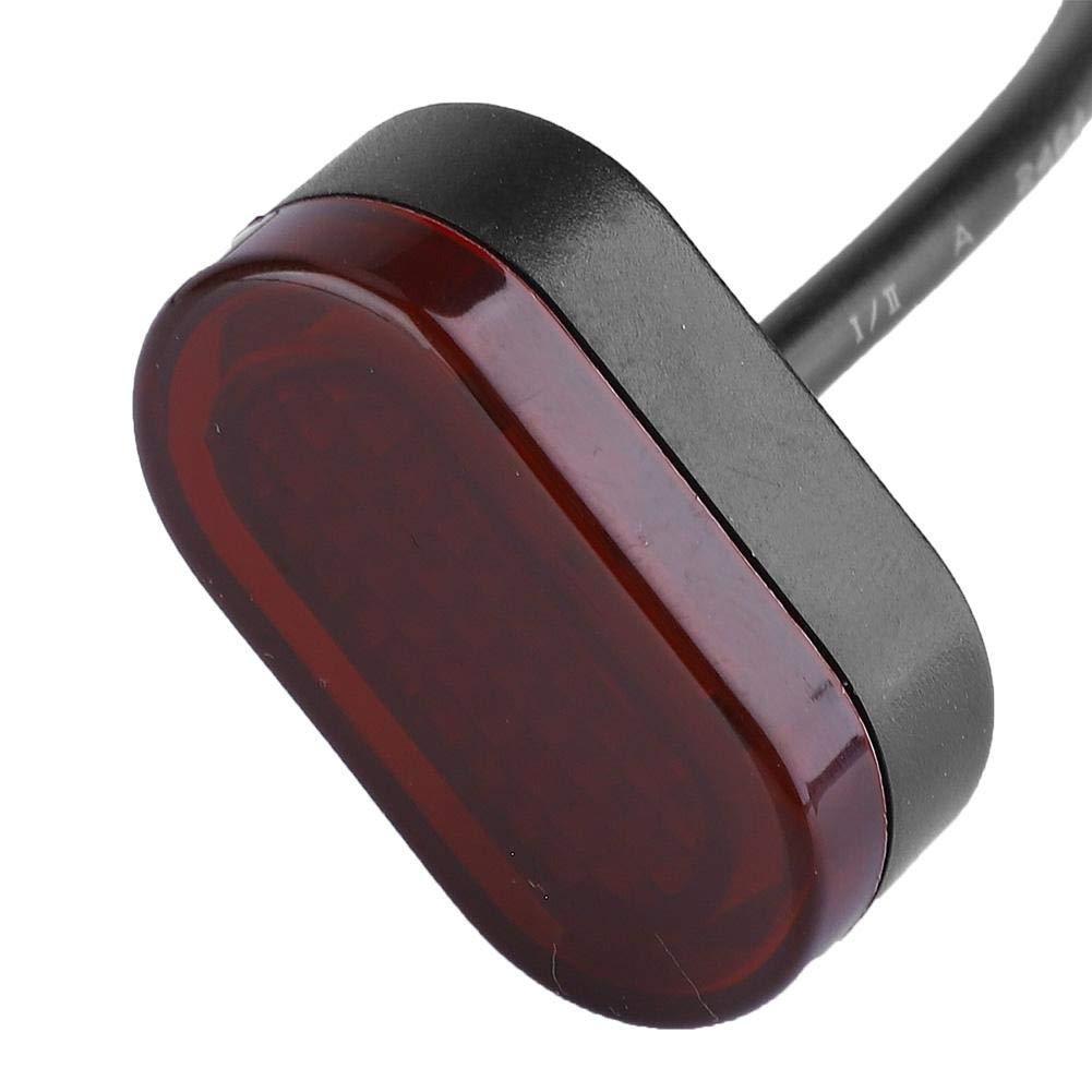 Xiaomi M365 Scooter Rear Fender with Tail Light and Brake Light