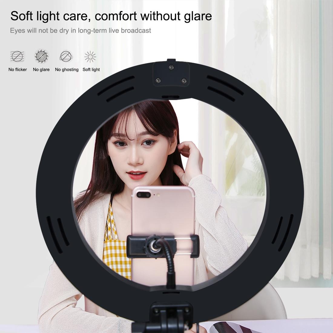 10.2 Dual-colour Led Ring Light with Usb Bluetooth Remote and Phone Holder - White