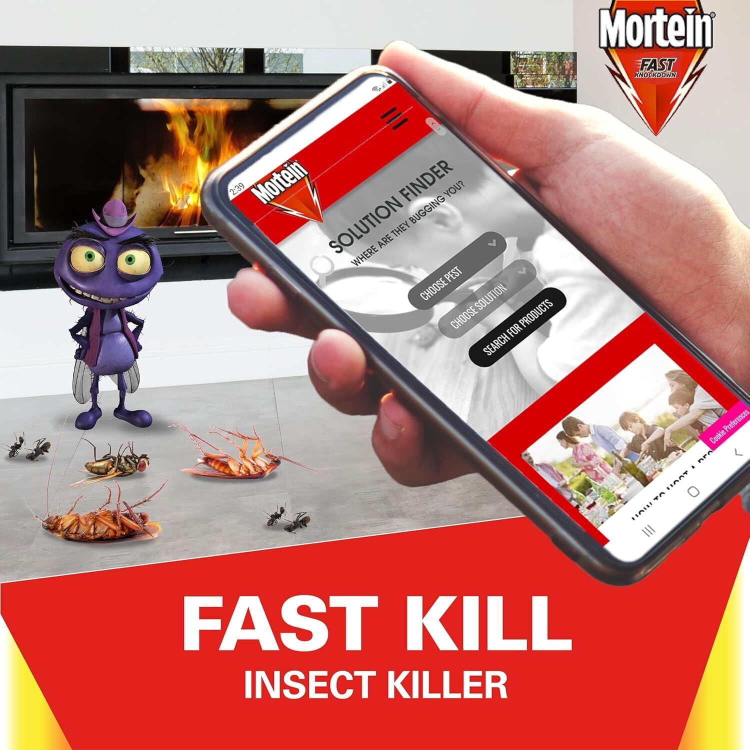 2 Packs of 2 300g Mortein Fast Knockdown Multi Insect Killer Surface Spray (4 Total)