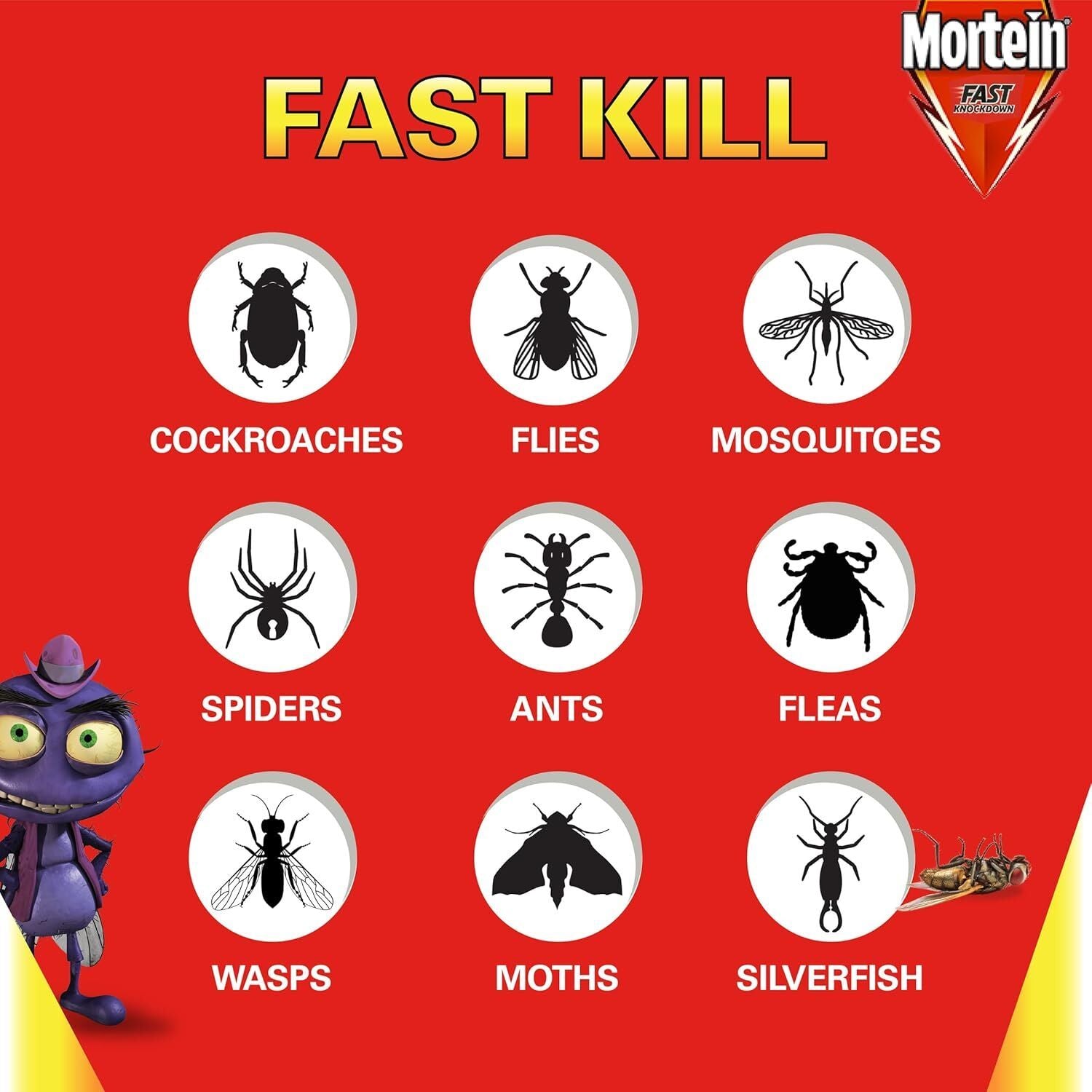 2 Packs of 2 300g Mortein Fast Knockdown Multi Insect Killer Surface Spray (4 Total)