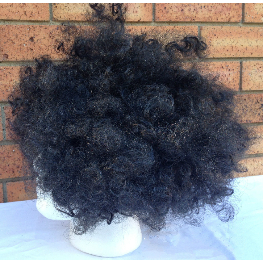 DELUXE AFRO WIG Curly Hair Costume Party Fancy Disco Circus 70s 80s Dress Up - Black