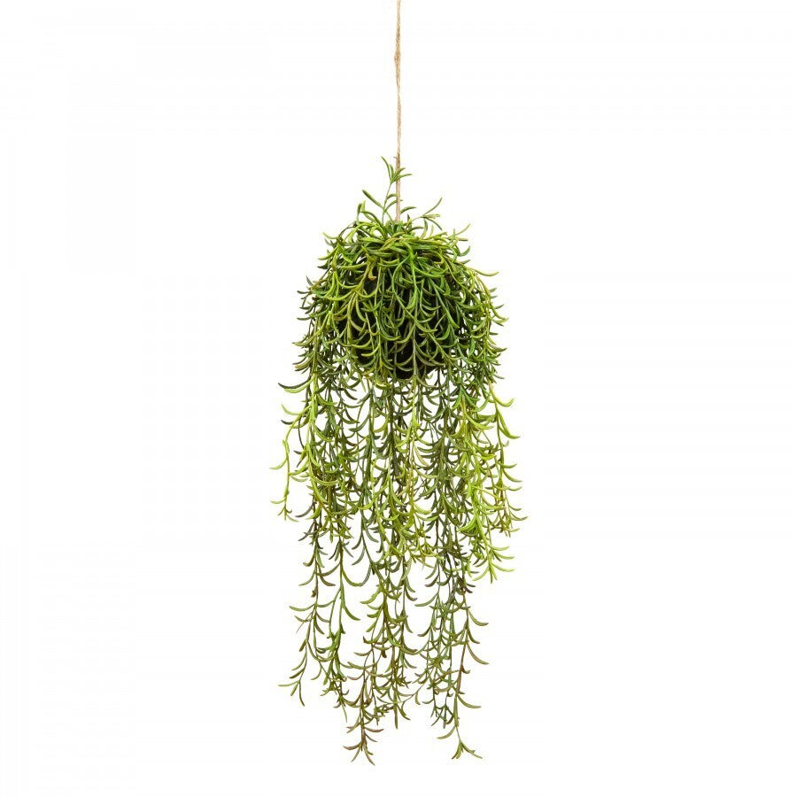 60cm Moss Ball w Senecio Hanging Artificial Plant Flower (with Rope) Fake