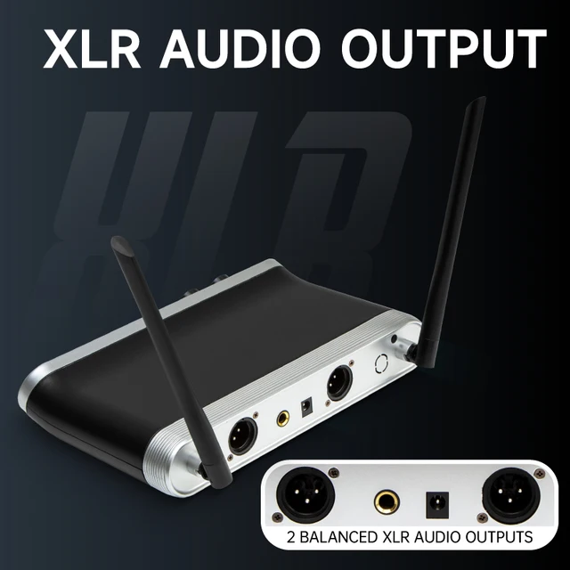 Hridz Wireless UHF Microphone Kit Dual Handheld Mics with 100m Range Receiver for Karaoke Meetings Parties