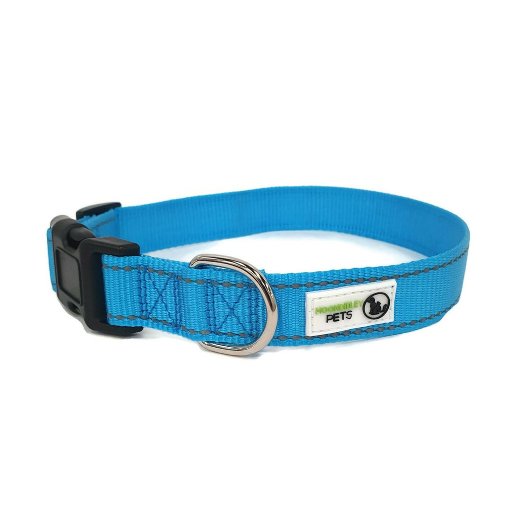 Nylon w/Reflective Stitching Dog Collar Medium Light Blue