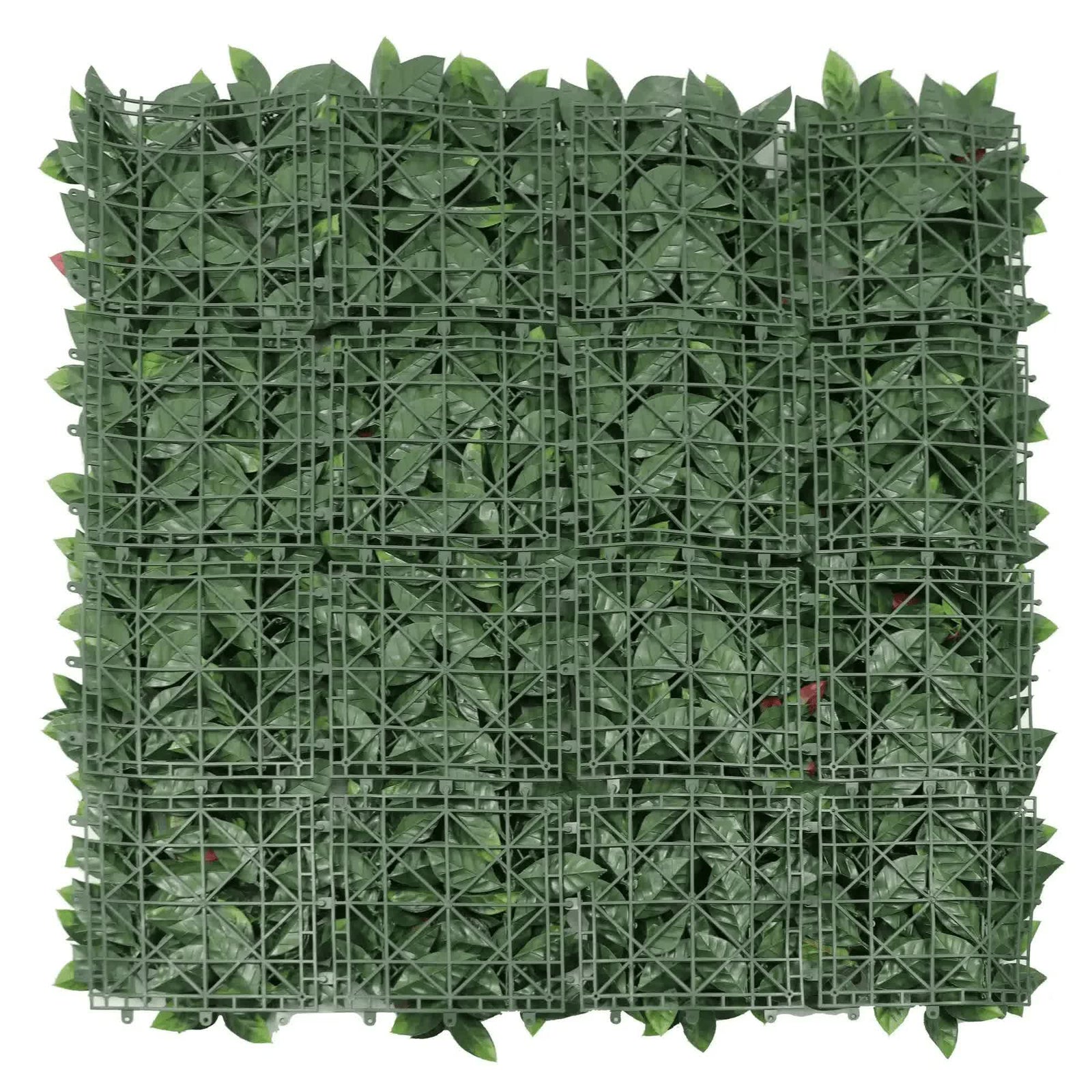 Photinia (Red Robin) Hedge Leaf Screens / Panels UV Resistant 1m x 1m