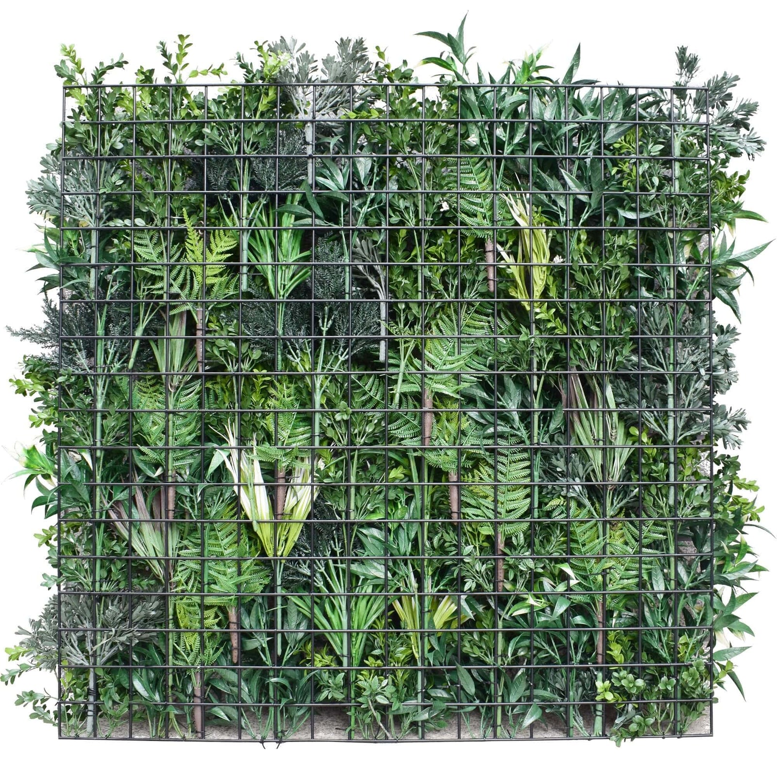 Green Forest Bespoke Commercial Grade Metal Backed Vertical Garden / Green Wall UV Resistant 1m x 1m Fire Retardant