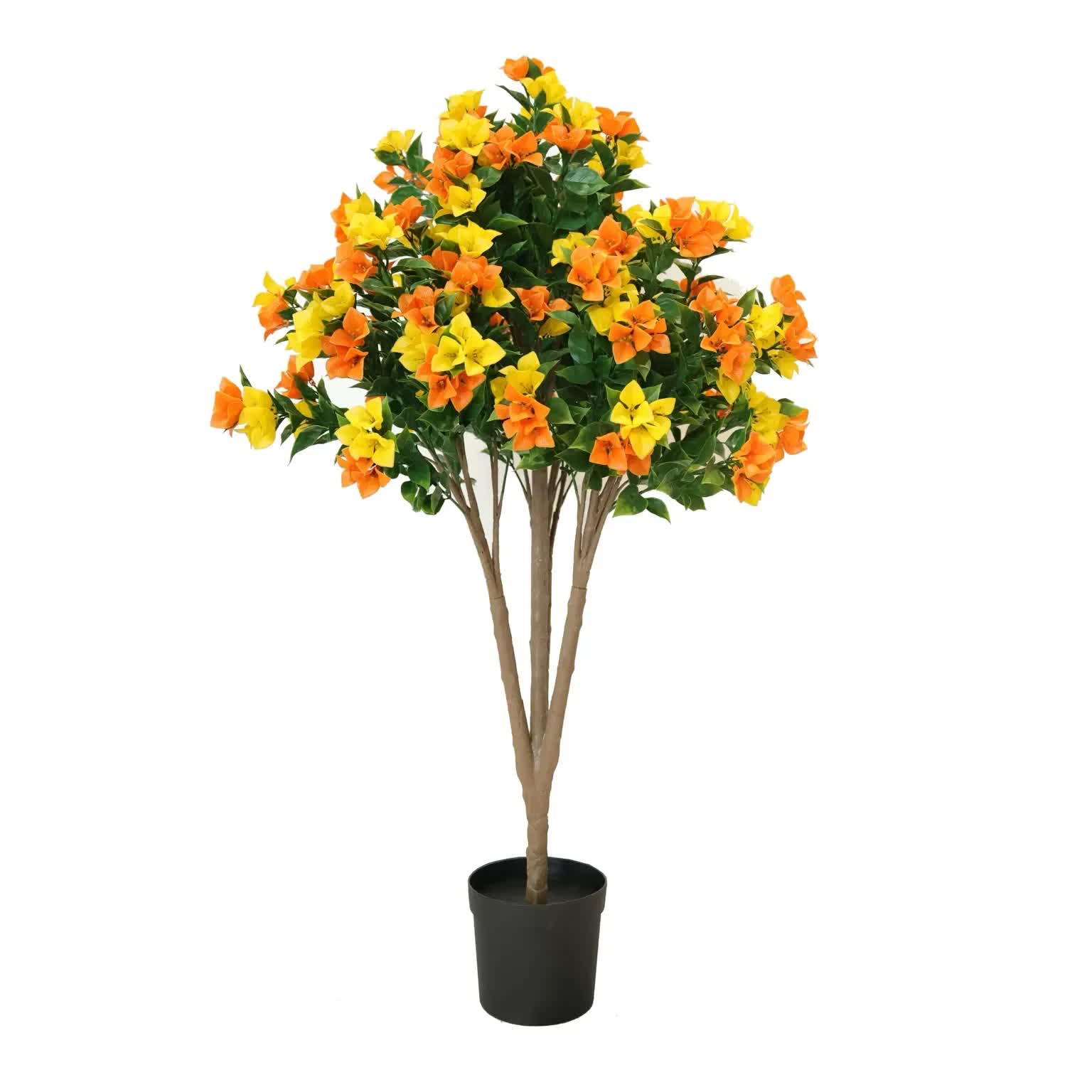 Flowering Yellow and Orange Bougainvillea Tree 120cm UV Resistant