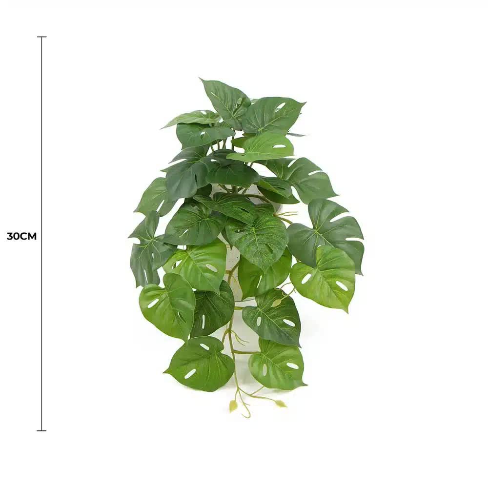 Decorative Artificial Monstera Adansonii Plant in Ceramic Bowl 30cm