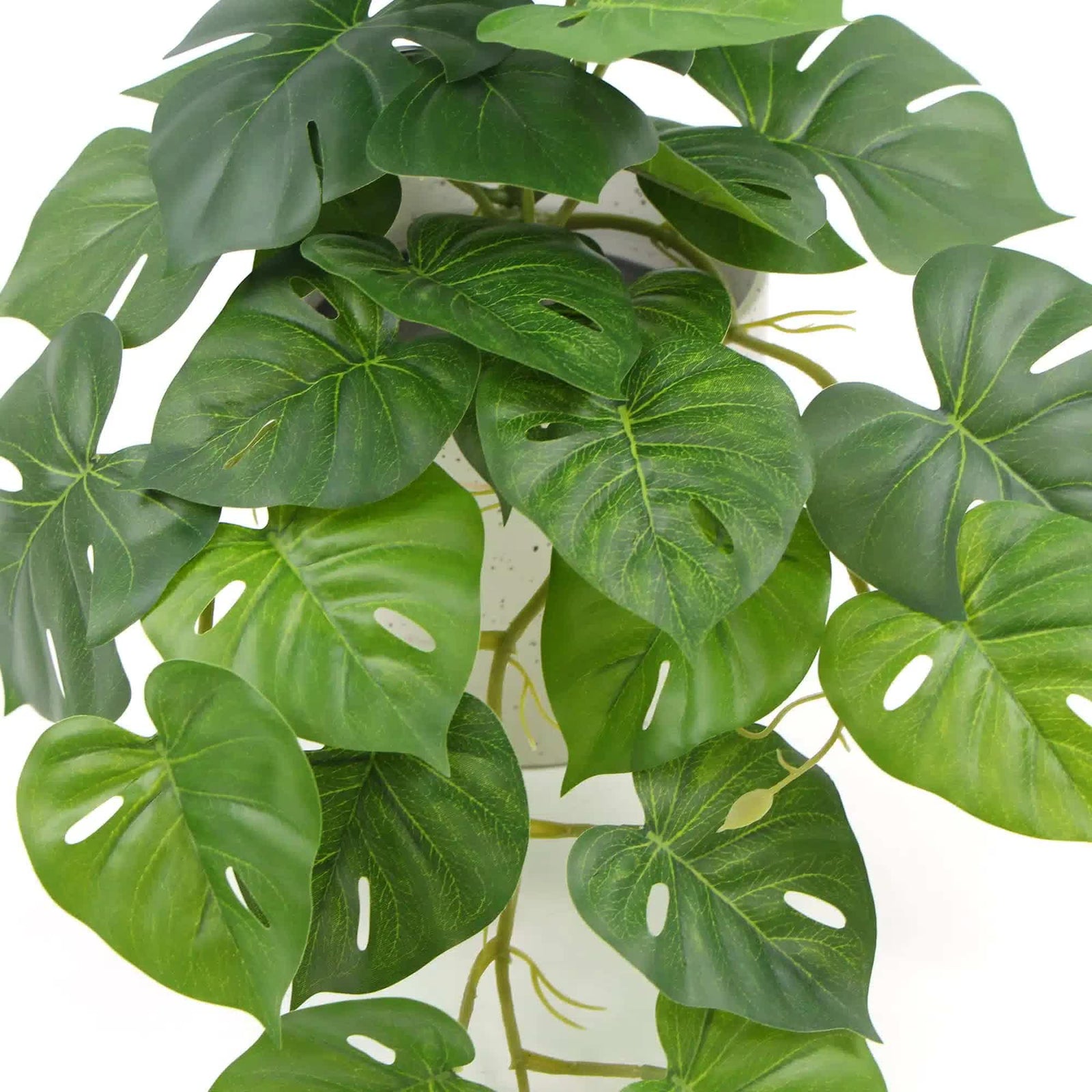Decorative Artificial Monstera Adansonii Plant in Ceramic Bowl 30cm