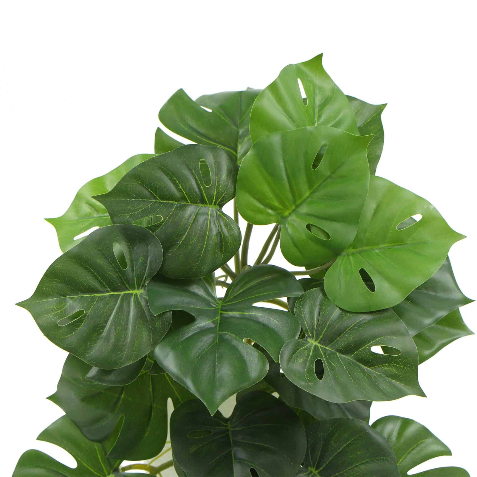 Artificial Monstera Adansonii Plant 50cm